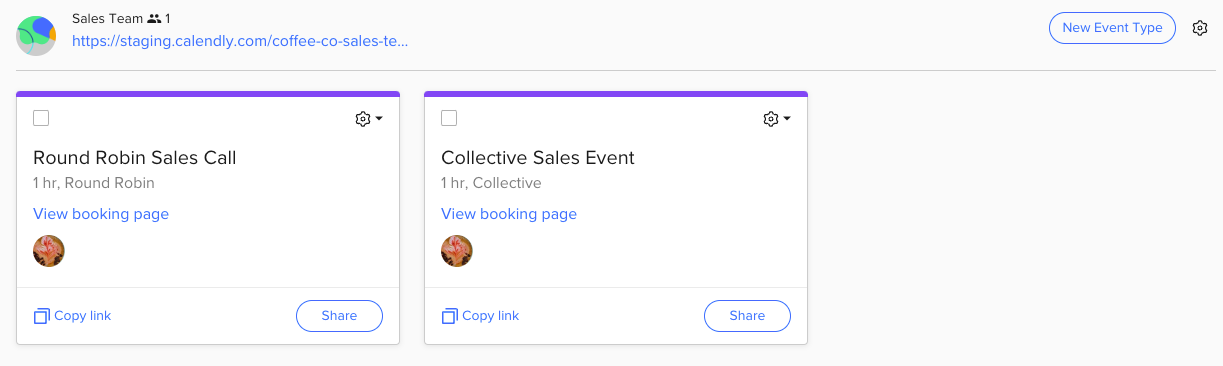 Sales Team Page View.png
